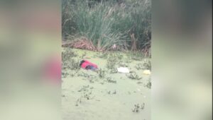 Bengaluru body found in suitcase 1