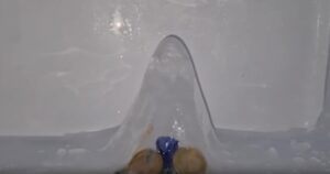 shivling