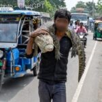 MAN WITH CROCODILE