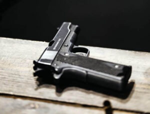 pistol IANS (1) (1)