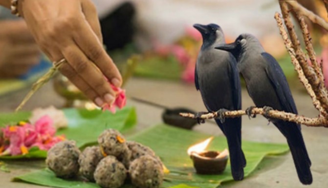 PITRA PAKSH