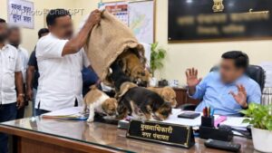 nashik shiv sena leaders release dogs puppies on officers desk (1) (1) (1)