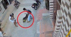 pitbull attacks 6 month old in Sonipat (1)