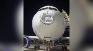 lightning strikes indigo plane IANS Photo (1)